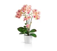 PASCH Orchidée artificielle en pot en céramique brillante (46 cm) - Fleurs comme royales (rose clair)