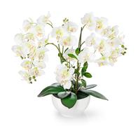 PASCH Orchidée artificielle XXL (56 cm) dans un pot en céramique brillante | Orchidées artificielles comme de vraies | Orchidées artificielles en pot | Fleurs artificielles en pot (blanc)