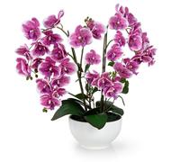 PASCH® Orchidée artificielle XXL (56 cm) dans un pot en céramique brillante | Orchidées artificielles comme de vraies fleurs | Orchidées artificielles en pot | Fleurs artificielles en pot | Fleurs