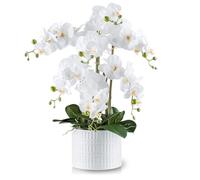 PASCH® Orchidée artificielle XXL (60 cm) dans un pot en céramique blanche | Orchidées artificielles comme de vraies fleurs
