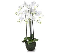 PASCH® Orchidée artificielle XXL (90 cm) avec boules de terre