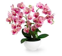 PASCH® Orchidée Artificielle XXL Grande (56 cm) Dans Un Pot En Céramique Brillante | Comme De Vraies Orchidées | Fleurs Artificielles