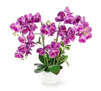 PASCH® Orchidée Artificielle XXL Grande (56 cm) Dans un Pot en Céramique Brillante | Comme de Vraies Orchidées | Fleurs Artificielles