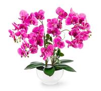 PASCH® Orchidée Artificielle XXL Grande (56 cm) Dans Un Pot En Céramique Brillante | Comme De Vraies Orchidées | Fleurs Artificielles