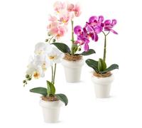 PASCH Orchidées artificielles dans des pots en céramique brillante (36 cm) | Fleurs artificielles en pot | Fleurs artificielles comme de vraies orchidées artificielles en pot (lot de 3)
