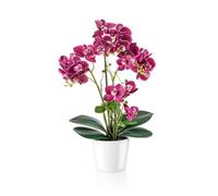 PASCH® Orchidées artificielles dans des pots en céramique brillante (46 cm) | Fleurs artificielles en pot | Fleurs artificielles comme de vraies | Orchidées artificielles en pot (violet)