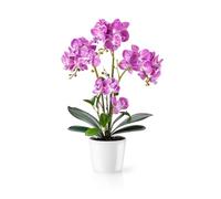 PASCH® Orchidées artificielles dans des pots en céramique brillante (46 cm) | Fleurs artificielles en pot | Fleurs artificielles comme de vraies | Orchidées artificielles en pot (rose)
