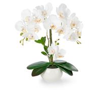 PASCH® Orchidées Artificielles Dans Un Pot En Céramique Brillante (40 cm) | Comme De Vraies Fleurs