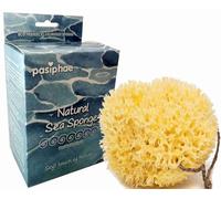 Pasiphae Éponge de mer naturelle en nid d'abeille jaune extra douce pour le bain et la douche, sur une corde, luffa eco cadeau en carton (taille M, 11-13 cm)