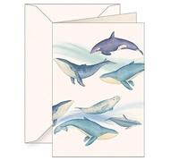 Pass B6 + enveloppe 6144 Mammifères marins