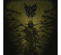 Passages Into Deformity by Defeated Sanity