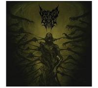 Passages into deformity CD