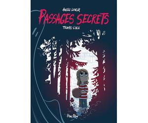 Passages secrets : trompe-l'oeil - Michel Falardeau - Pow Pow - broché - Bande dessinée