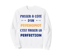 Passé à côté d'un psychomot Perfection Métier psychomot Sweatshirt