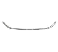 BLIC 6502-07-2030993P Baguette de calandre