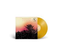 All The Little Lights Anniversary Edition Vinyle Coloré