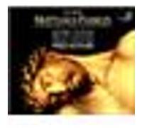 Bach, J.S. - La Passion selon Saint Matthieu - 3 CD + CD-ROM PC - Harmonia Mundi
