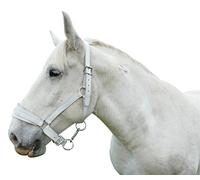 Passionnal - Licol Cuir Chromé - Cheval De Trait