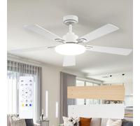 Passky Ventilateur de plafond avec lumière LED silencieux 132cm, Télécommande, Moteur CC réversible, 3 réglages de couleur, Fonction été-hiver, 6 vitesses, Minuterie, Int/ext, Blanc