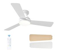 Passky Ventilateur de plafond avec lumière silencieux 107cm, Télécommande, Moteur CC réversible, 3 réglages de couleur, Fonction été-hiver, 6 vitesses, Minuterie, Int/ext, Blanc