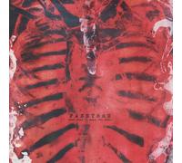 Passthru - What Does It Make You Feel [Import]