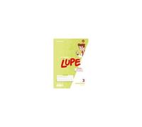 Passwort Lupe - Sprachbuch 4. Arbeitsheft Inklusion