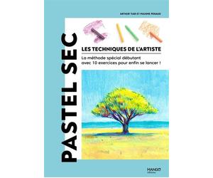 Pastel sec - Maxime Penaud - Mango - broché - Guide