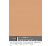 PastelGrain paquet 5F 50x70cm 360g - Sienne