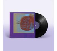 Pastels – The Last Great Wilderness – Vinyle 12" – Domino Records