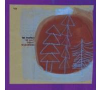 The Pastels – The Last Great Wilderness – CD – Domino Records