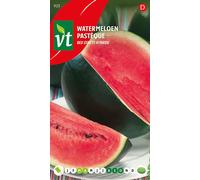 Pastèque Red Star F1 hybride Graines - Env. 10 Graines | VT_925