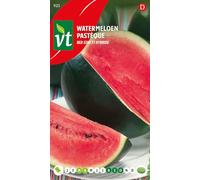 Pastèque Red Star F1 hybride Graines - Variété robuste pour culture en pleine terre