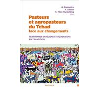 Pasteurs et agropasteurs du Tchad face aux changements Territoires sahéliens et soudaniens en transition - Koffi Alinon - Karthala - broché - Essai