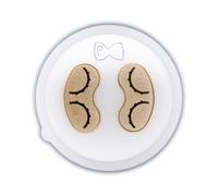 Pastidea - Chaîne en bronze et POM Boucles d'oreilles rayées 15 mm compatible avec Philips Pasta Maker Avance et Série 7000