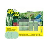 Pastilles d'Engrais pour - Engrais Nutritif Pour Fleurs 32 Comprimés Fournitures De Jardinage | Nourriture D'Intérieur - pour Jardin Maison Roses Gardénias Cactus Pothos