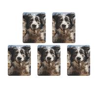 Pastor Border Collie Lot de 5 feuilles d'encens parfumées à suspendre pour voiture, maison, décoration intérieure carrée, style blanc