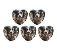 Pastor Border Collie Lot de 5 feuilles d'encens parfumées à suspendre pour voiture, maison, décoration intérieure, forme d'amour, style blanc
