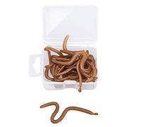 Pastoralist Faux vers, Faux vers de Terre, leurres Souples, appâts de pêche artificiels réalistes, Ensemble de vers de Terre en Silicone