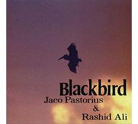 Pastorius, Jaco / Ali, Rashied - Blackbirds [Import]