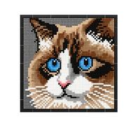 Pasyru Ensemble de Blocs de Construction Chat, 3623 Pièces Micro Pixel Art Muraux en Forme d'animal Chat, Diamant Décoration Murale Unique ou Affichage de Table, Jouets Cadeaux pour Hommes et Femmes