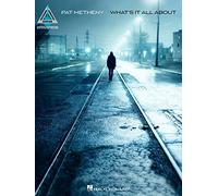 Pat Metheny - What's It All About