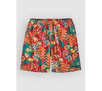 Patagonia Baggies Longs - 7 In. Short à motifs M