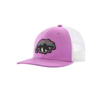 Patagonia - Casquette trucker - K's Trucker Hat Back for Good Bear: Brisk Purple - Violet Violet