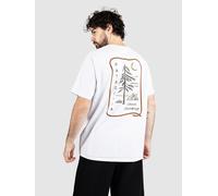Patagonia Clean Climb Roots Responsibili T-Shirt blanc L