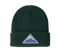 Patagonia - Kid's Logo Beanie - Bonnet - One Size - driftways patch cascade green