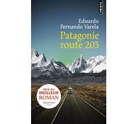Patagonie route 203