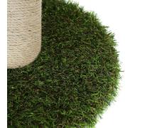 Patapalooza Arbre à Chat Exclusif en Forme de Champignon, conçu pour Grimper, se Reposer et Jouer, idéal pour renforcer Votre activité Physique.