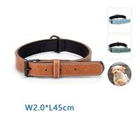 Patapalooza Collier pour Chien en PU résistant, réglable et léger, idéal pour l'entraînement et Les promenades en Toute sécurité.