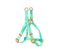 Patapalooza Harnais en Nylon Multicolore, Lot de 4 unités, résistant et réglable, idéal pour l'entraînement et Les promenades d'animaux de Compagnie.