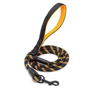 Patapalooza Laisse Ronde réfléchissante, Durable et légère, idéale pour Les promenades Nocturnes et la sécurité des Animaux.